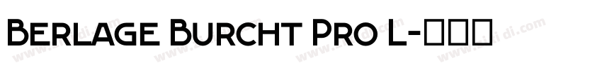 Berlage Burcht Pro L字体转换